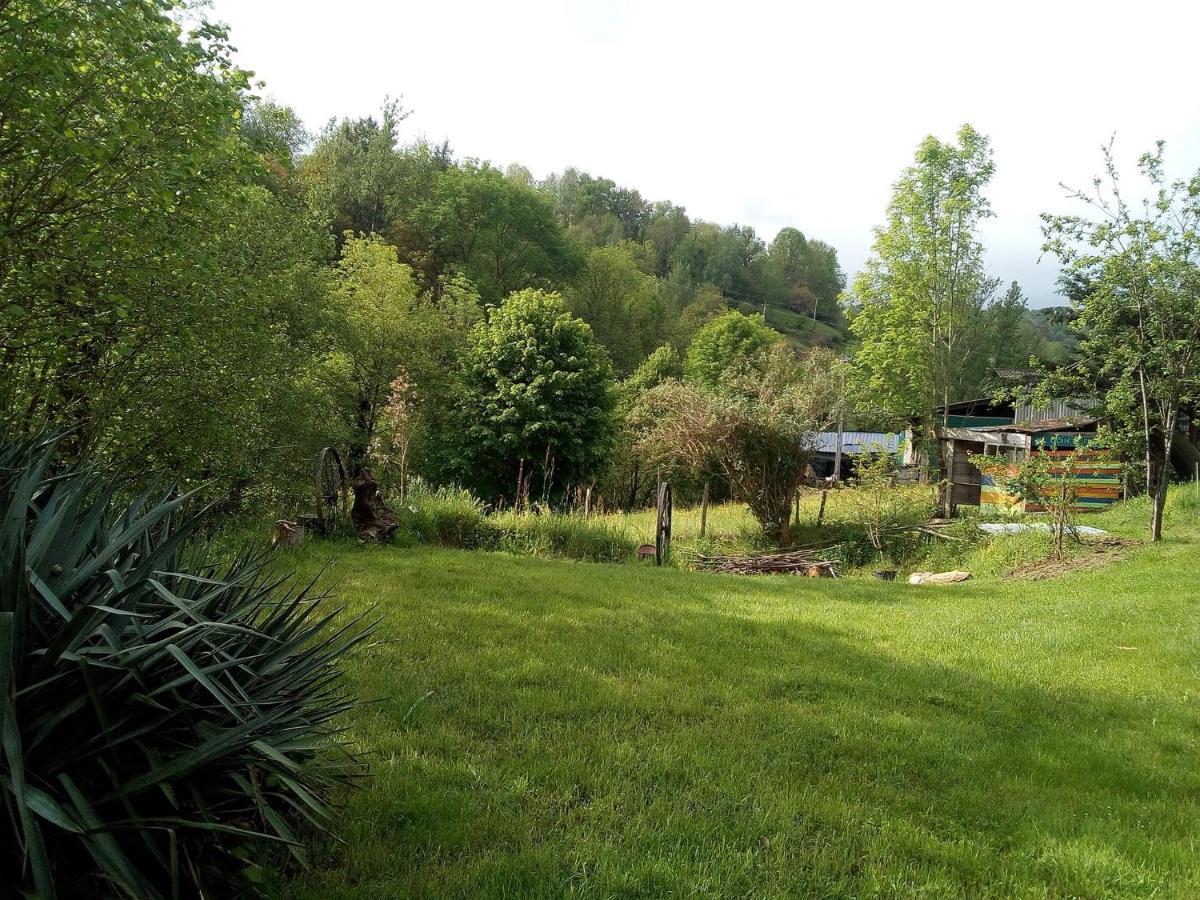 Homestay La Maison Du Bonheur Chez Yann Humblet