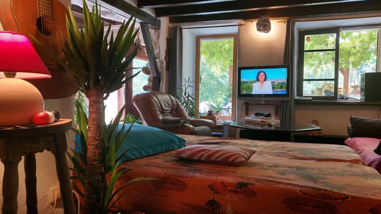 Homestay La Maison Du Bonheur Chez Yann Humblet Moulis
